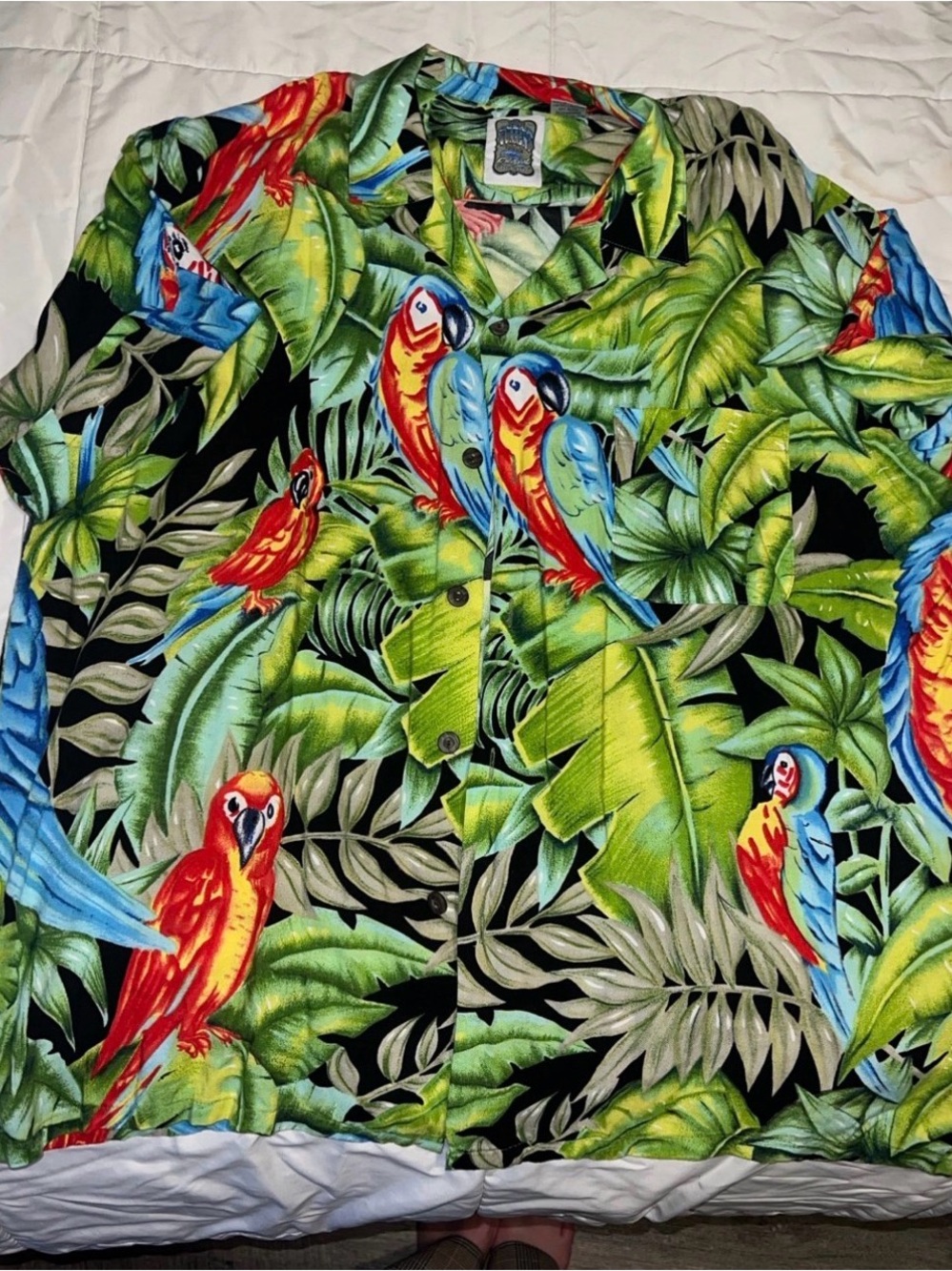 Ocean Current Tropical Parrot Print Button-Down Shirt in Black, Green, Red, Blue